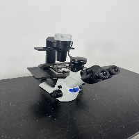 Olympus CKX53 Inverted Microscope image 0